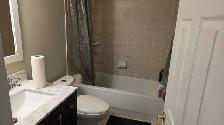 1 bedroom basement for rent in Toronto - Photo 4