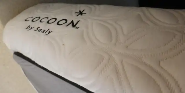 Soft (mint condition) Sealy Mattress