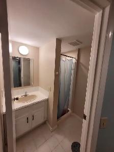 2 BEDROOM BASEMENT SUITE AVAILABLE IMMEDIATELY - Photo 8