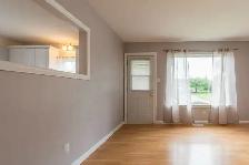 Full House for Rent in Trenton| 3Brms | No Basement Tenants - Photo 7