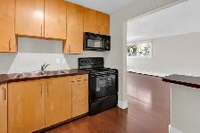 MODERN 2 BED SUNALTA CONDO WITH IN-SUITE LAUNDRY & PARKING - Photo 5