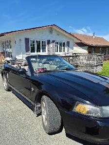 2004 Mustang