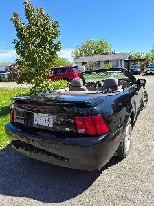 2004 Mustang - Photo 2