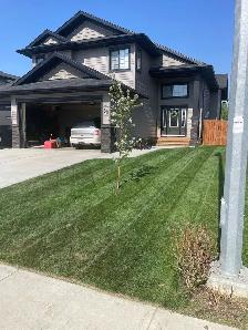 Affordable Lawn Care - Photo 2
