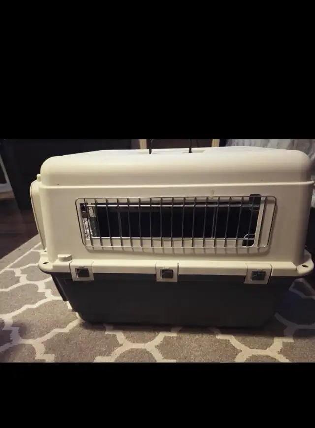 dog or cat cage