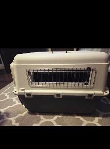 dog or cat cage