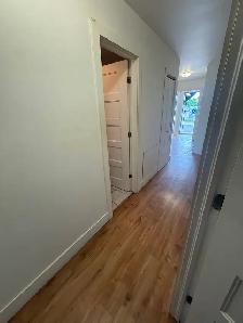4½ RÉNOVÉ AVEC COUR, ENTRE 2 MÉTROS PAPINEAU ET FRONTENAC À PIED - Photo 4