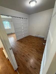 4½ RÉNOVÉ AVEC COUR, ENTRE 2 MÉTROS PAPINEAU ET FRONTENAC À PIED - Photo 6