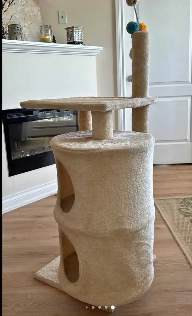 Cat Post