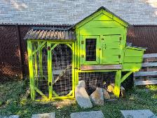 3 poules noires et leur  poulailler à vendre 350$ 4385048991