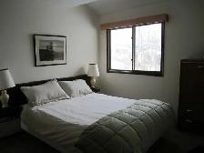 Kimberley One Bedroom Furnished Condo For Rent - Photo 4
