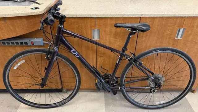 Liv Alight 2 Womens Hybrid Bike Purple (Small) $399