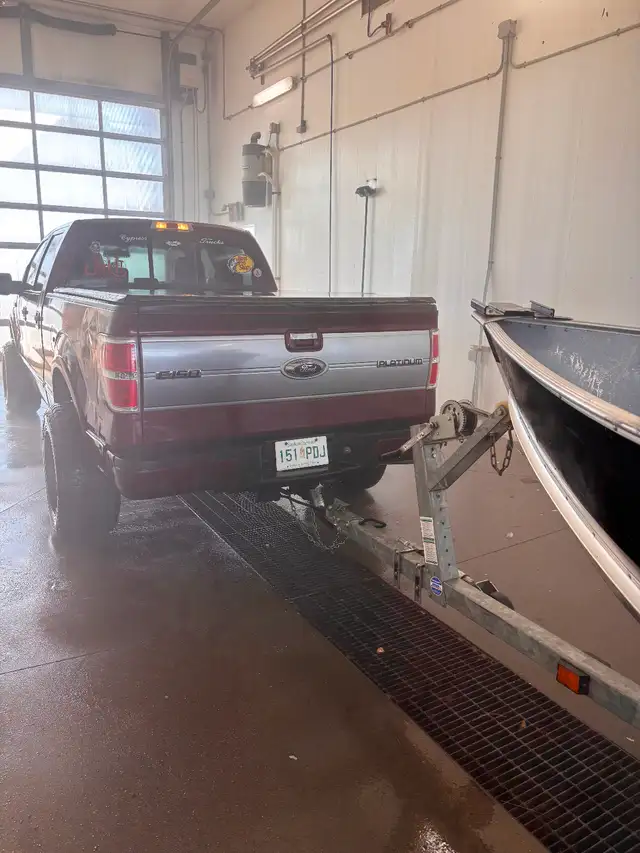 2009 f150 platinum