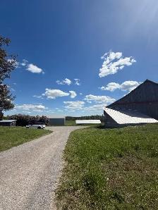 Renovated Farmhouse w 2 Acres – Country Living Near Peterborough - Photo 23
