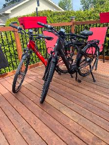 Vélo à courroie carbone assistance électrique - Photo 5