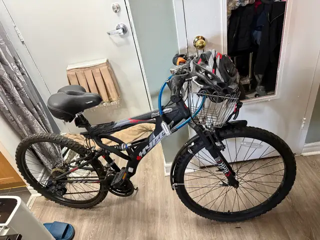 Adult Bike