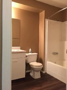 3 Bedroom 1 Bath 4-plex unit in Camrose - Photo 8