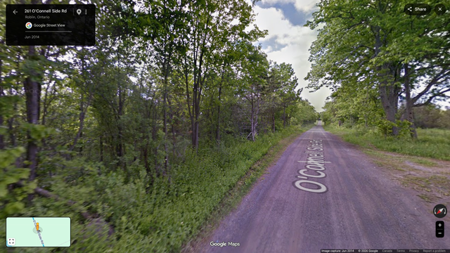 18 Acres for Sale - Country Setting