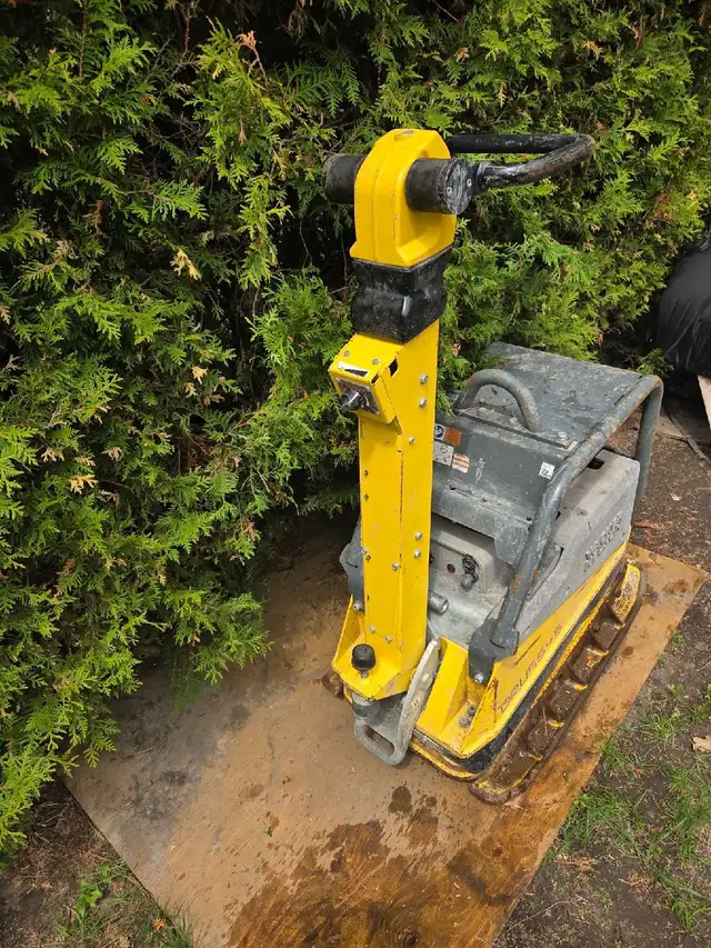 plaque Vibrante Wacker Neuson DPU55/45 diesel