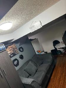 Basement Apartment - FREE UTILITIES & PARKING - Photo 2