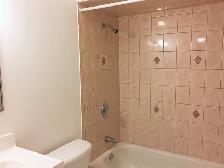 Basement Apartment - FREE UTILITIES & PARKING - Photo 5