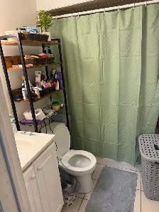 Basement Apartment - FREE UTILITIES & PARKING - Photo 6