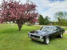1969 Nova - Photo 2