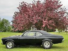 1969 Nova - Photo 3