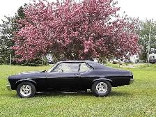 1969 Nova - Photo 4