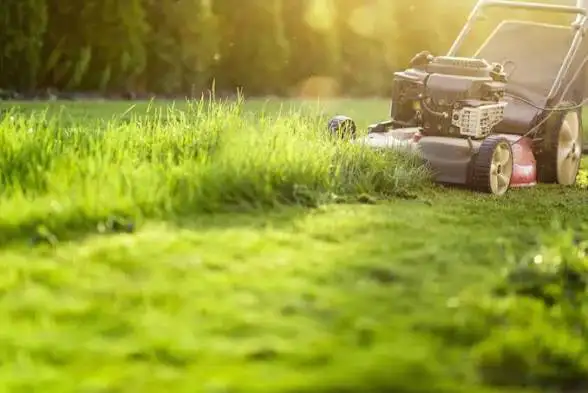Lawn mowing