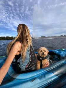 Dog walker/ Sitter available Monday through Friday - Photo 3