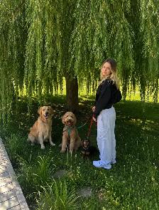 Dog walker/ Sitter available Monday through Friday - Photo 6