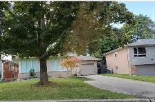 The Basement Unit For Rent