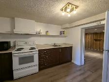 The Basement Unit For Rent - Photo 3