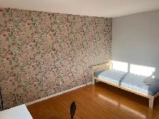 Bright Furnished Room for Rent – Applewood Heights, Mississauga - Photo 3