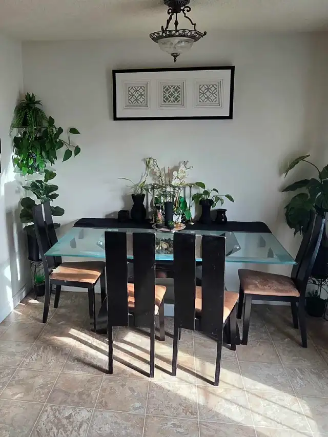 Dining table with 4 chair