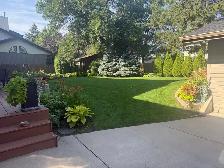 Summer Weeding: $25/hour - Photo 3