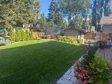 Summer Weeding: $25/hour - Photo 4