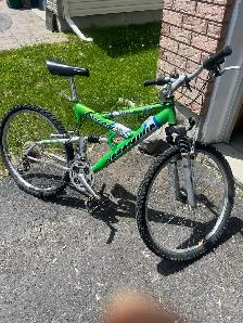 Bike $40