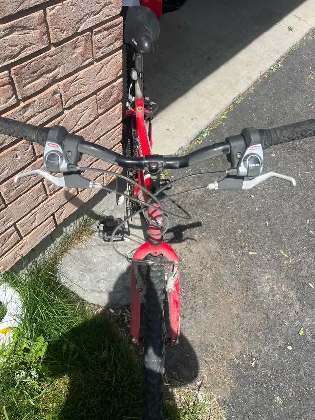 Bike for man