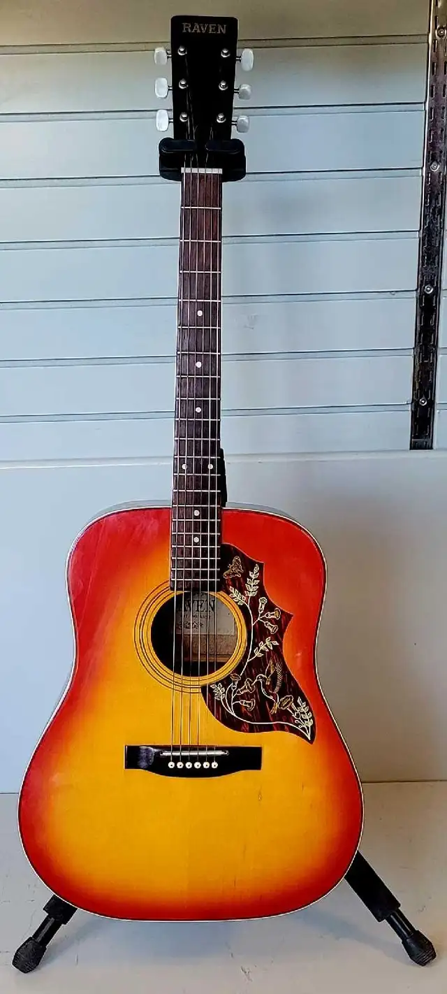 Raven Acoustic Guitar (32030257)