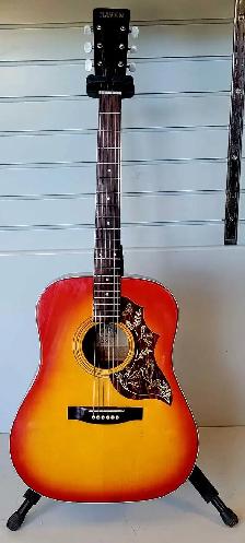 Raven Acoustic Guitar (32030257)