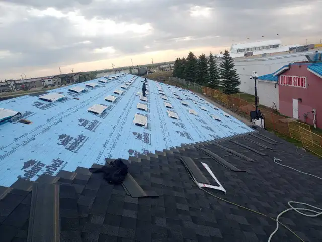 EXPERIENCED ROOFING SHINGLER LOOKING FOR WORK