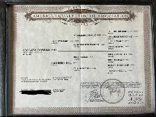 AQHA 4 y/o Registered Dun Mare - Photo 10
