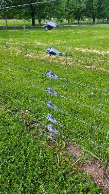 Livestock Fencing for Sale - Photo 2