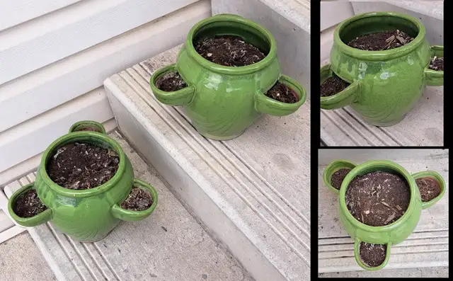 PLANTERS