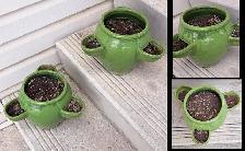 PLANTERS