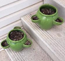 PLANTERS - Photo 2