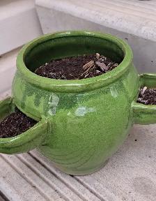 PLANTERS - Photo 4