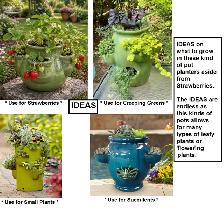 PLANTERS - Photo 5